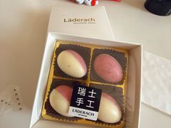 -Laderach 莱德拉(上海环贸iapm店)