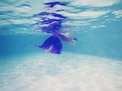 -上海潜殿潜水中心