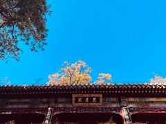 -潭柘寺景区