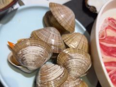 -苏大嘴蒸汽海鲜·海胆蒸饺(中山广场店)