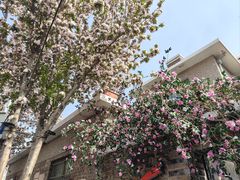 -天津五大道文化旅游区