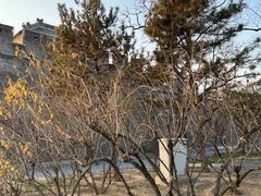 -中国人民抗日战争纪念雕塑园