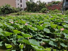 -正嘢私房菜