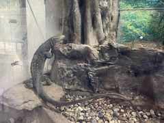 -上海大自然野生昆虫馆(东方明珠·爬宠昆虫探索中心)