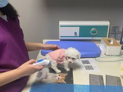 -关爱宠物医院·猫科中心·消化科(滨湖万达分院)