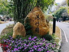 -晓港公园