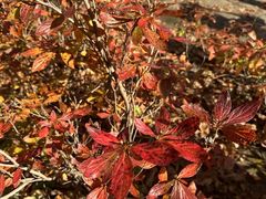 -本溪老边沟风景区