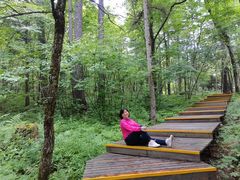 -五营红松林海景区