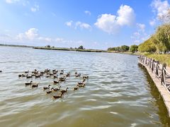 -野鸭湖国家湿地公园