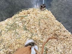 -重庆北碚万达广场