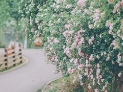 -白鹭湾湿地公园