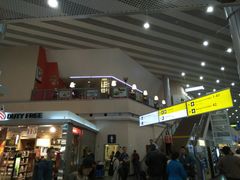 -谢列梅捷沃国际机场