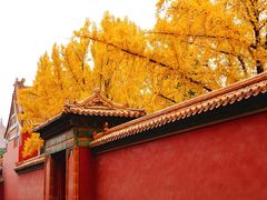 -故宫博物院(故宫)