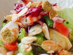 -蝶舍·MAISON PAPILLON