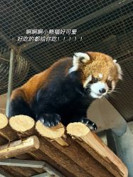 -Zoolung Zoolung动物主题公园(海信广场店)