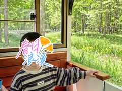 -黄海国家森林公园