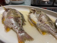 油盐姜丝蒸黄脚立-花城苑广府菜(侨鑫店)