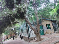 -泉州海丝野生动物世界