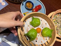-点都德·毕德寮