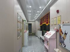 -瑞鹏宠物医院·骨科·猫科·内科(第一中心)