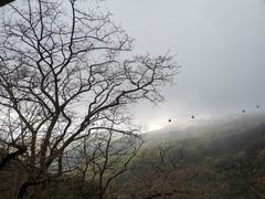 -泰山风景名胜区