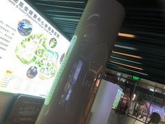 -上海大自然野生昆虫馆(东方明珠·爬宠昆虫探索中心)