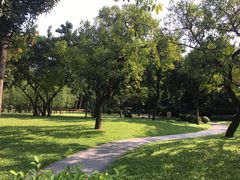 -晓港公园