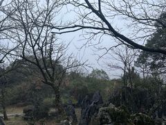 -千岛湖石林