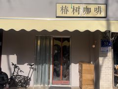 -椿树咖啡