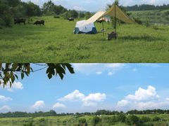 -迪卡侬(西华店)