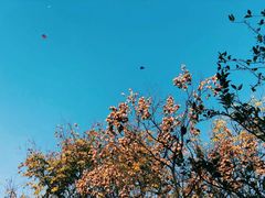 -明故宫遗址公园