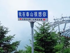 -泰山风景名胜区