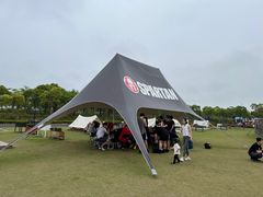 -春花秋色城市公园