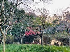 -秋霞圃