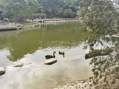 -广州市帽峰山景区