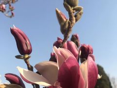 -燕郊植物园