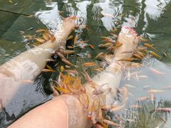 -三亚海棠湾南田温泉神龙谷