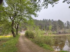 -方山风景区定林寺
