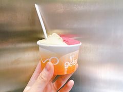 -Dip in Gelato(富民路店)