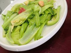 -姚林轩