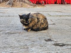 -宝通禅寺
