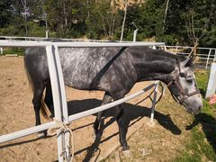 -渭南桃花源民俗文化园