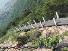 -石老人观光园
