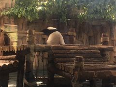 -泉州海丝野生动物世界