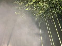 -江南天池高山汤泉城