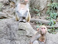 -黔灵山公园