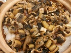 煲仔饭-沙龙酒家