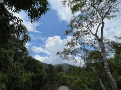 -野象谷景区