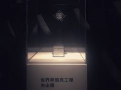 -凤凰中心
