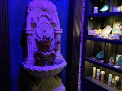-雪灵魔法世界SHELLY’S TAROT(大良桂畔里店)